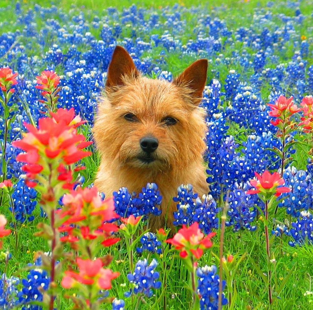 Home Shiloh Road Training